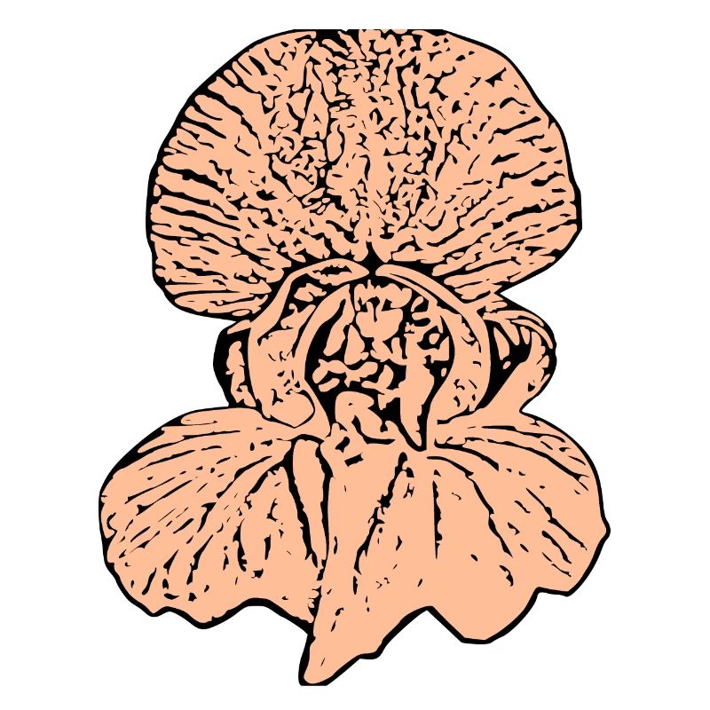 Muttertags Geschenk Mutter Muttertag Geschenkidee 