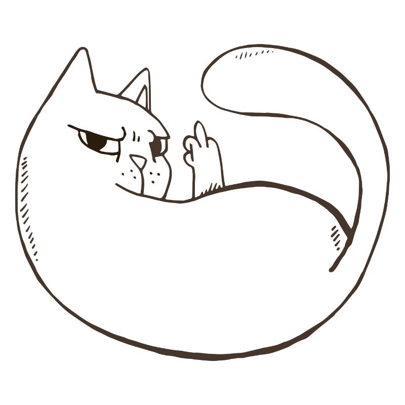 Chat méchant chat ami chat