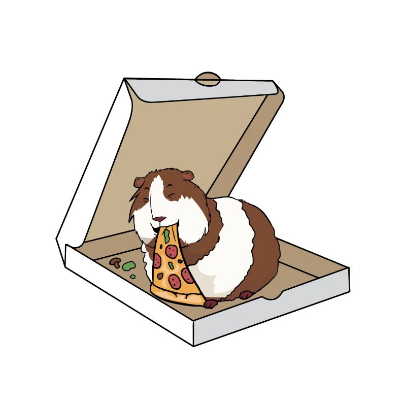 Cochon d'Inde mangeant une pizza