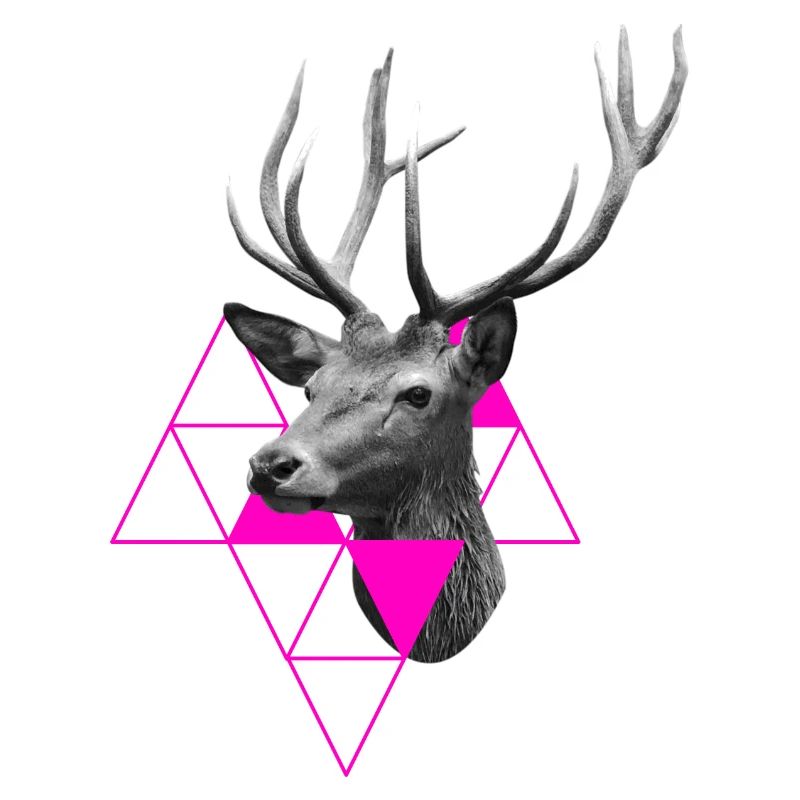 Hirsch Design Geschenke