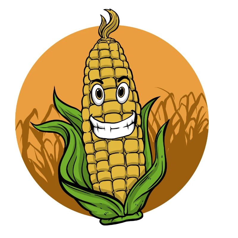 Corn Corn Field Popcorn Farmer Farmer Gift