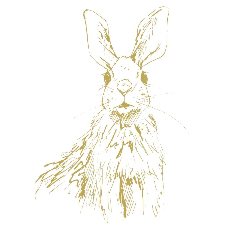 Illustrated designs with bunny