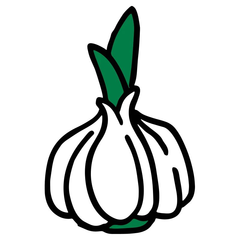 Knoblauch Garlic Ail Aglio