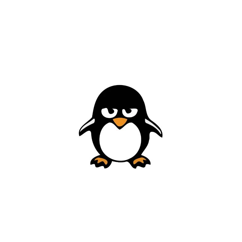 Programmation cadeau informatique · Convivial