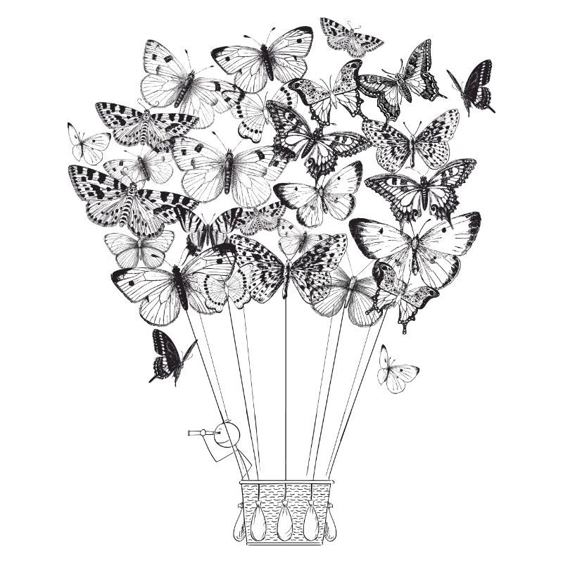 butterfly