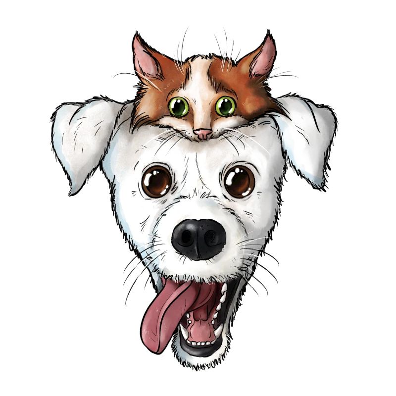 Visage de chien chat