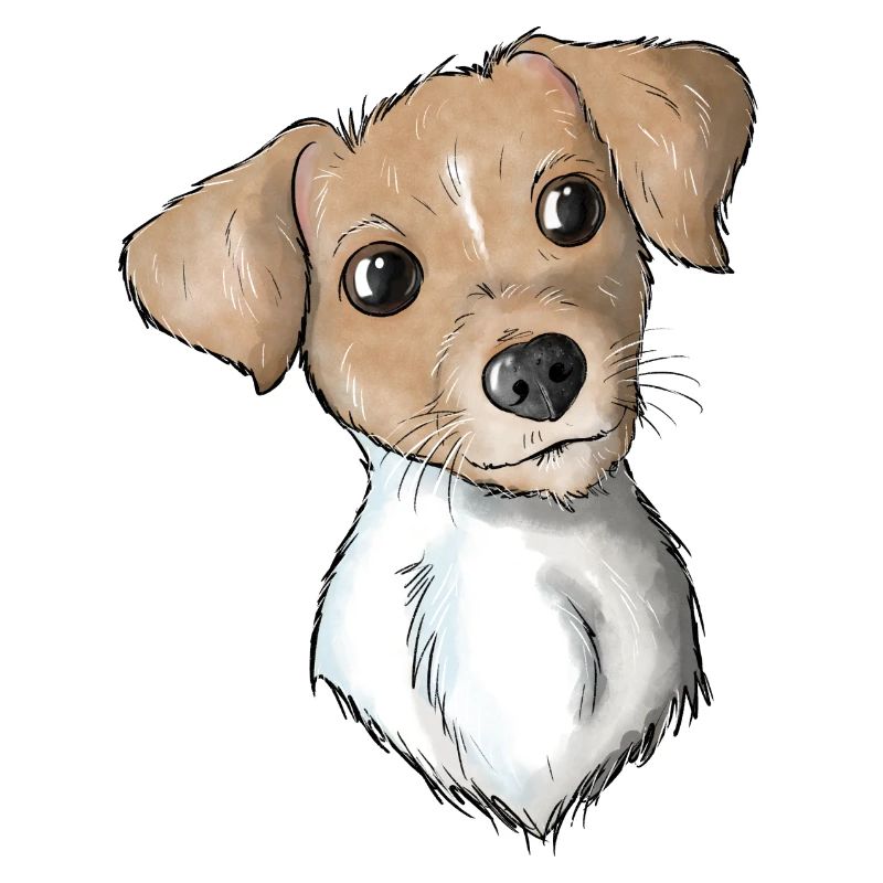 Terrier 11