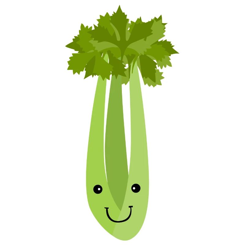 Celery Makes Me Smile Vegetables Leek Healthy