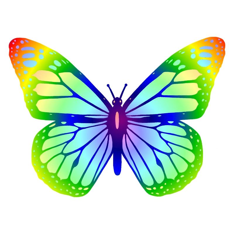 Butterfly 1