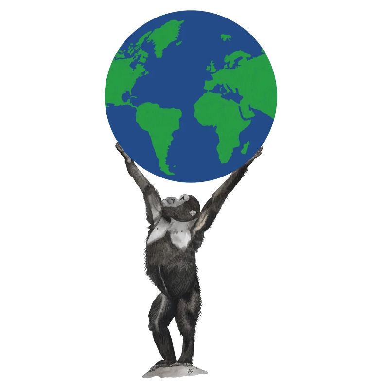 Singe Terre Globe Singe Amour Chimpanzé