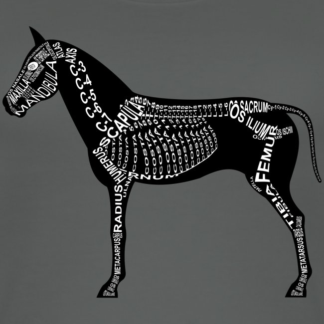 Pferde-Skelett