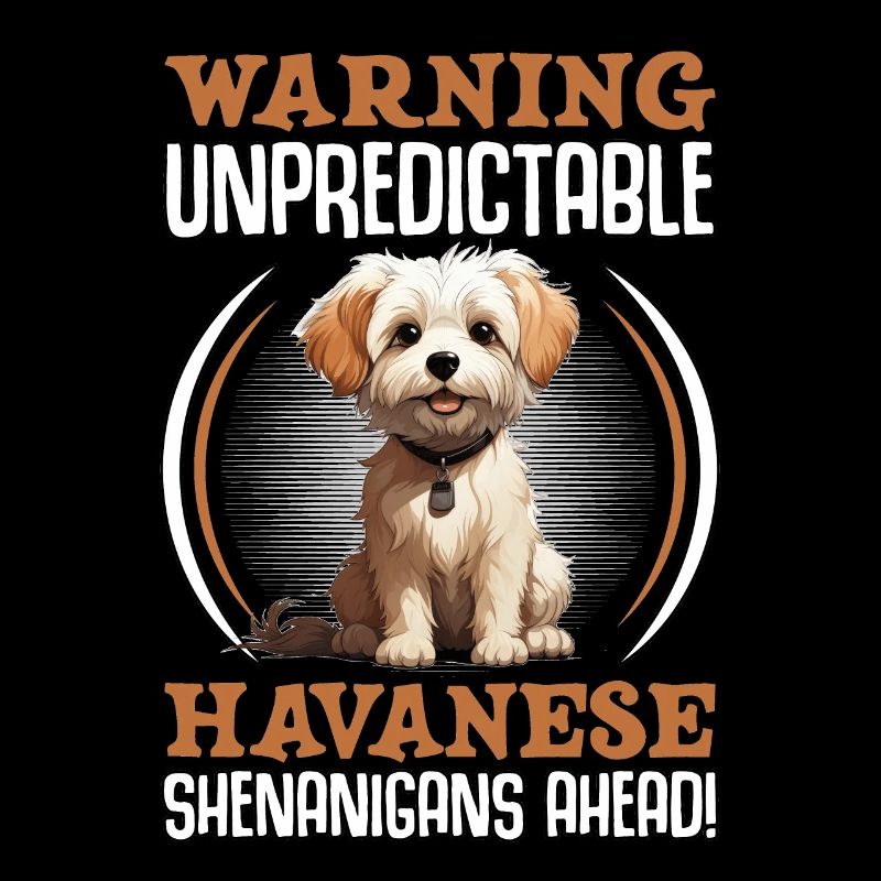Warning unpredictable Havanese Shenanigans ahead