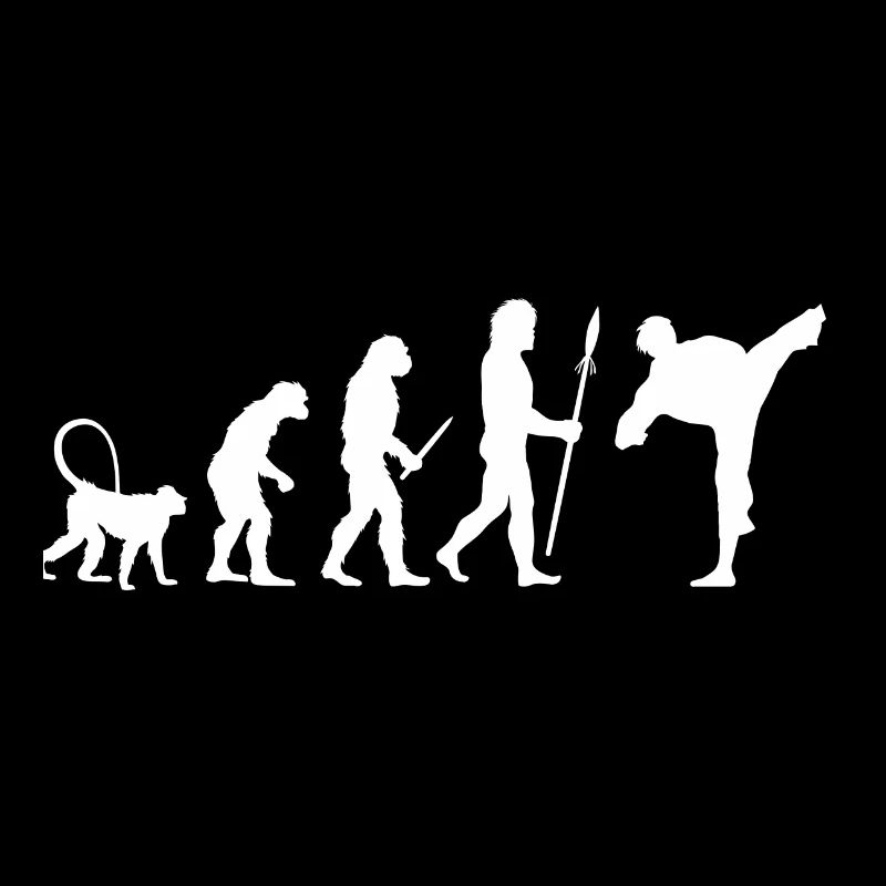 Karate Evolution