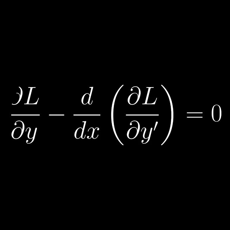 Euler-Lagrange equation fundamental notion physics