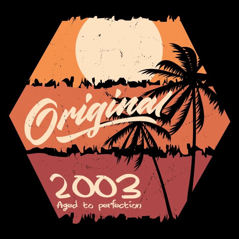 Original 2003 Retro 2003 Geburtstagsgeschenk