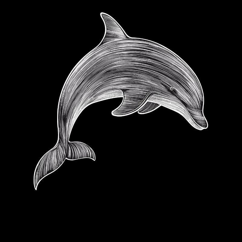 Dolphin Drawing Illustration Black and White