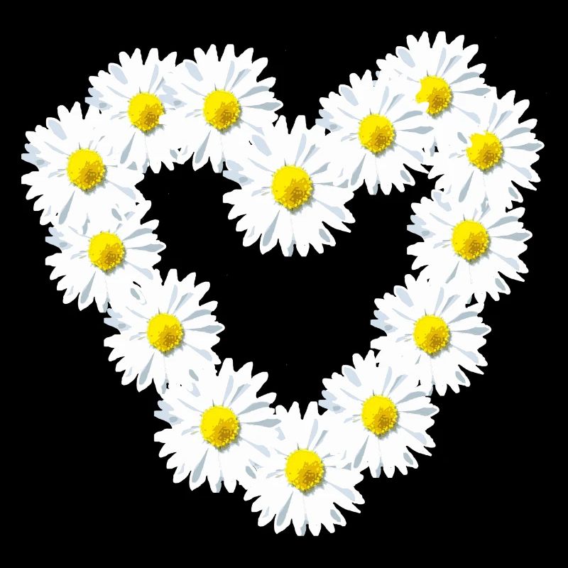 Cœur Daisy Daisy Chaud