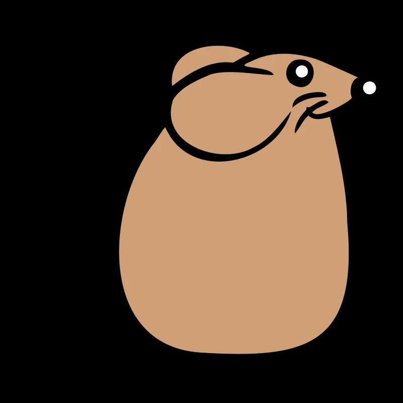 Mouse Mouse Cute Little Rat Rodent Friendly