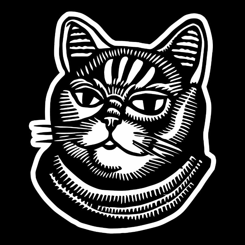 Chat Chats Visage de chat