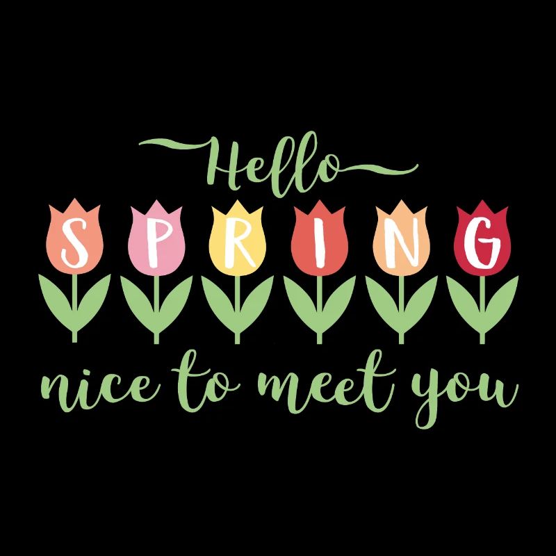 Hello Spring