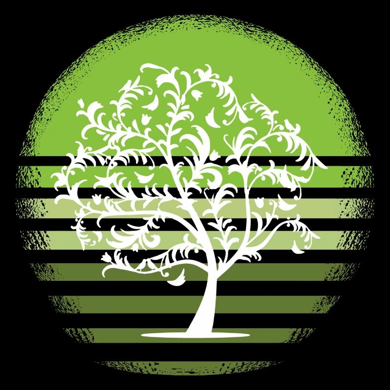 Nature White Tree Retro Deciduous Tree Sunset D