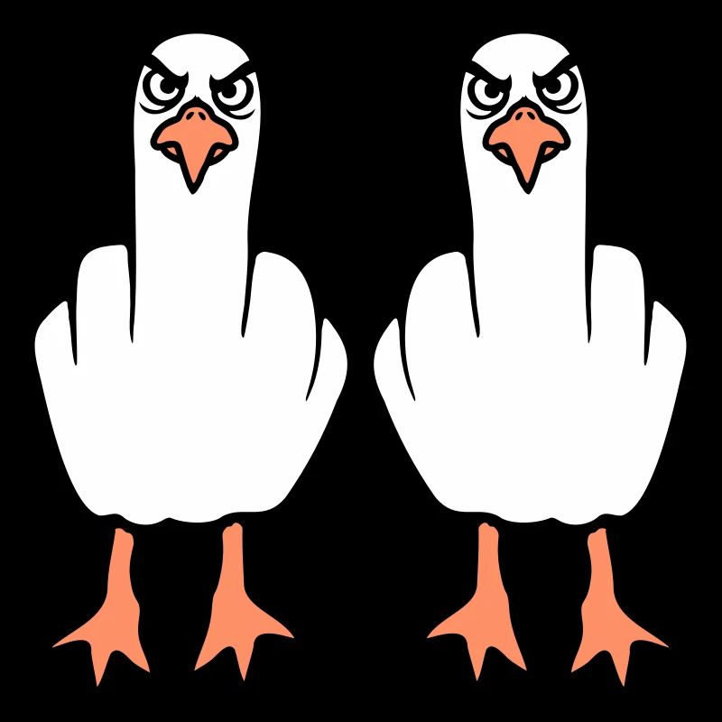 2 Seagulls Doigt d’honneur Insulte Stinkfinger Équipe