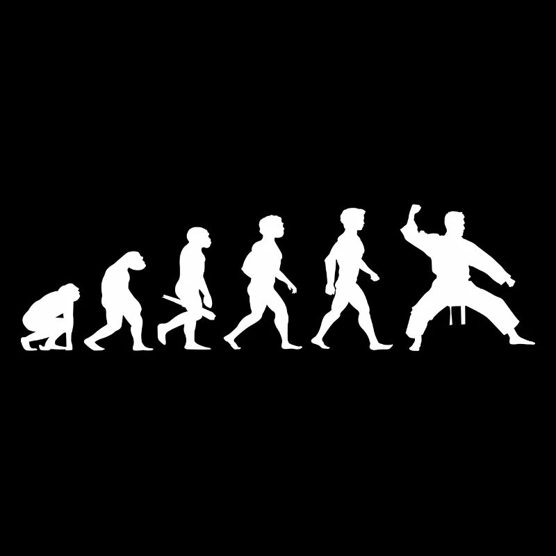 Evolution Karate Kampfsport