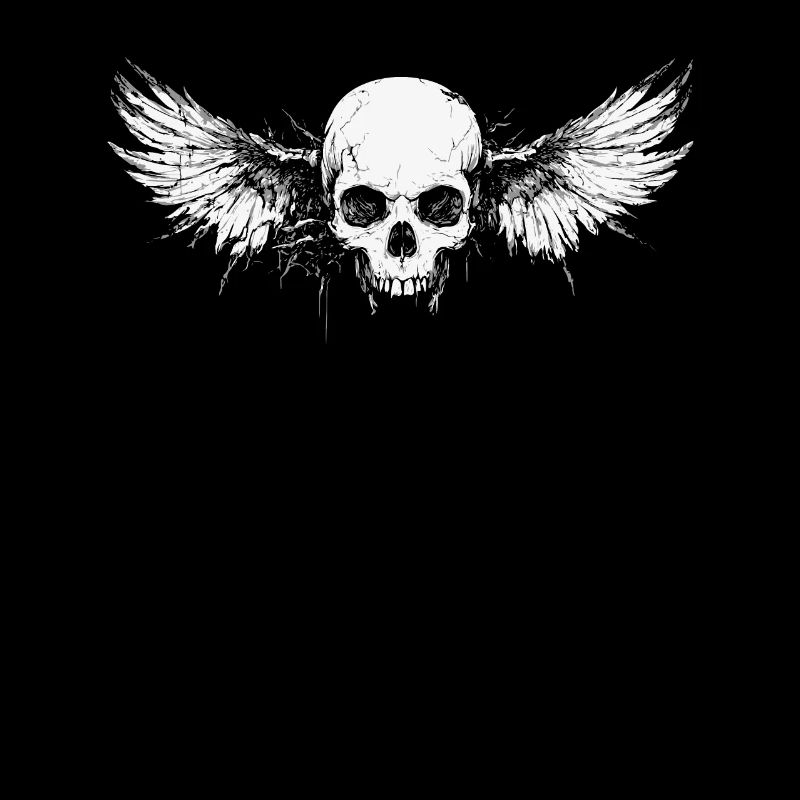 Skull with wings for bikers – crack design