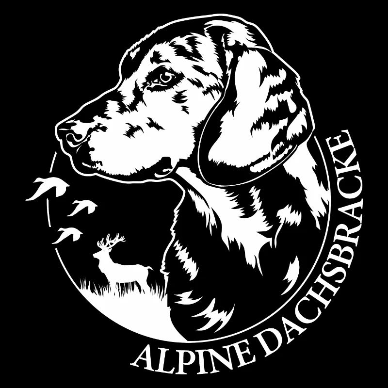 ALPINE DACHSBRACKE Hundeportrait Jagdhund Wilsigns