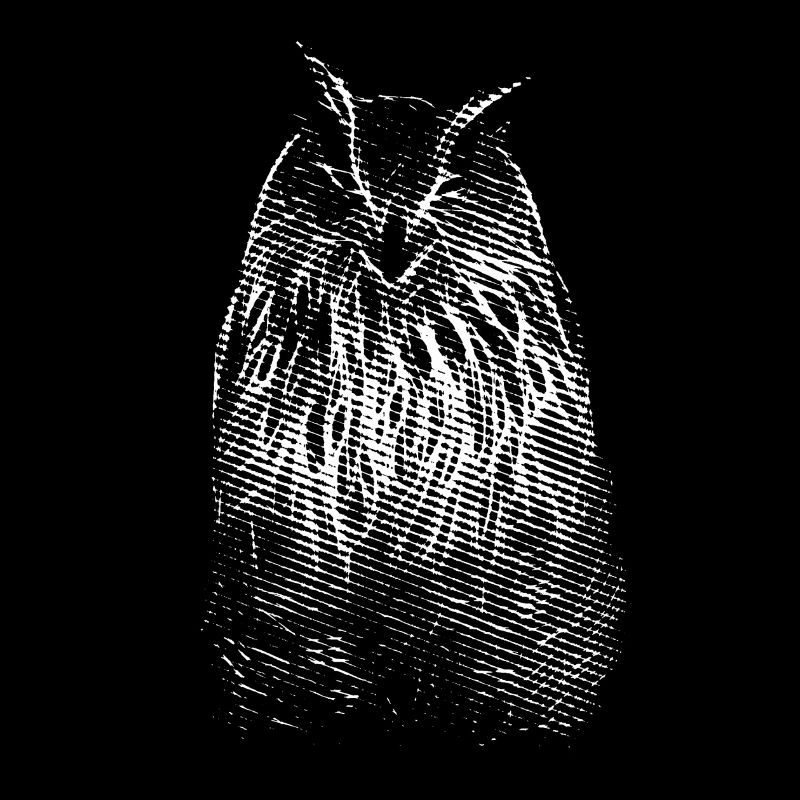 Das Lächeln von Herrn Owl. Eule, Eule