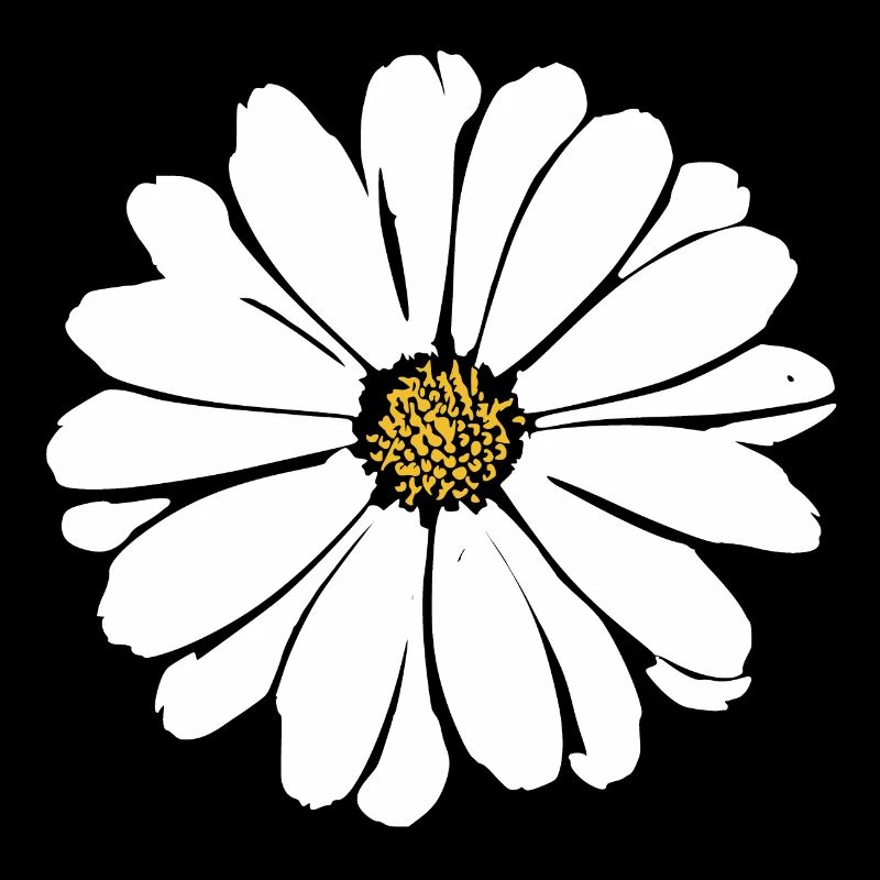 Fleur Fleurs Blanches Fleurs Blanches Été Hippie Idée Cadeau