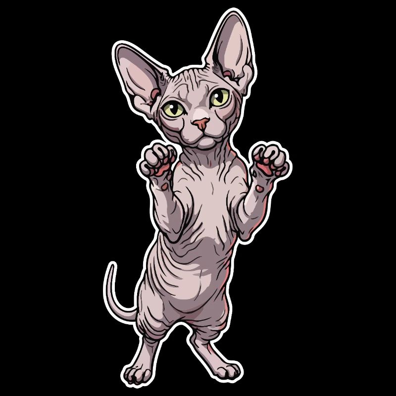 Chat Sphynx Mignon Posture Debout Portrait
