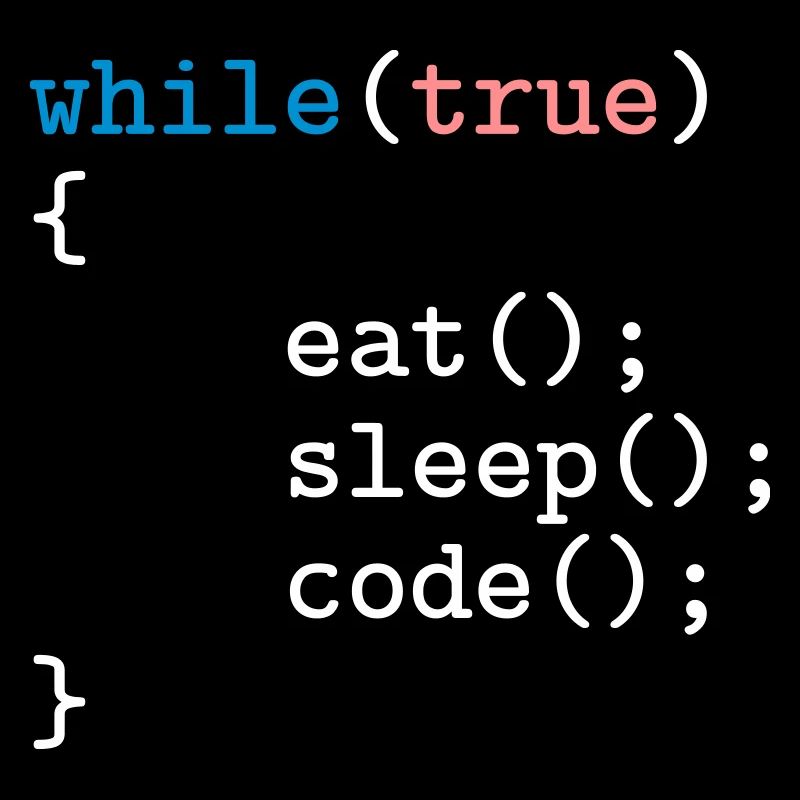 Programmierer, Software, Informatik, Developer