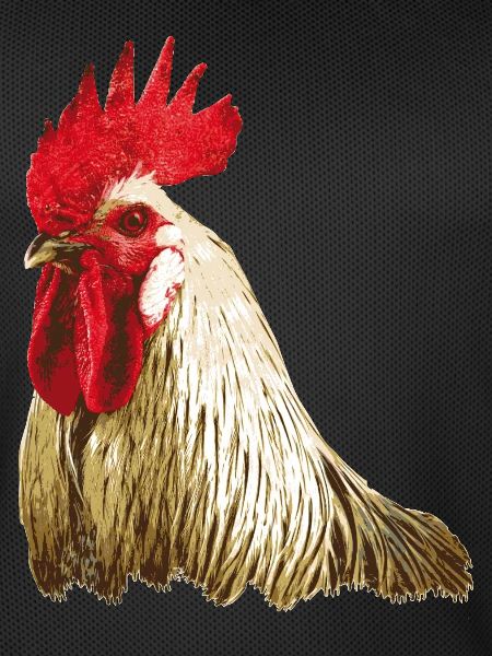 Rooster