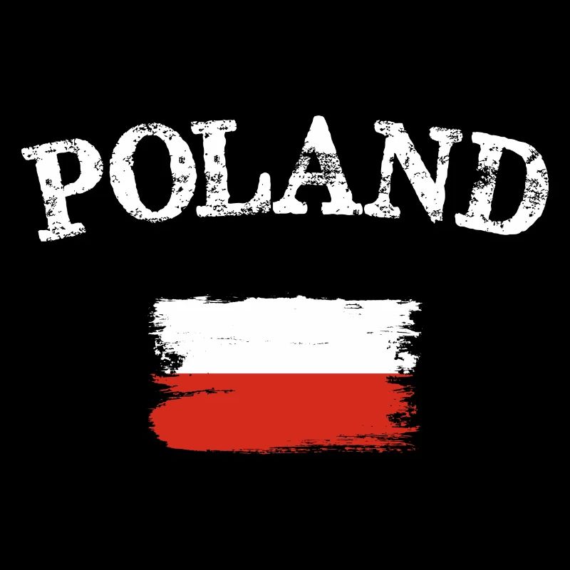 Pologne Drapeau Pinceau Art