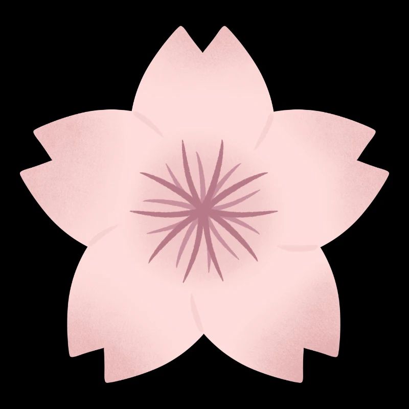 Blush Cherry Bloom