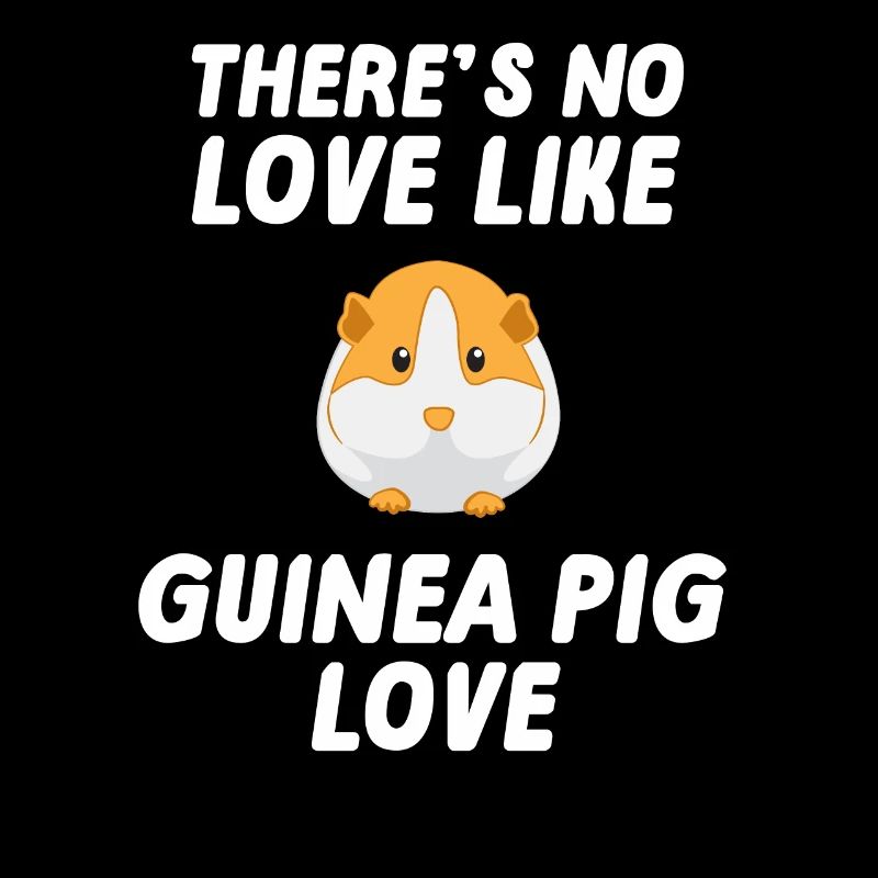 Cochon d'Inde - Cochon d'Inde - Amour