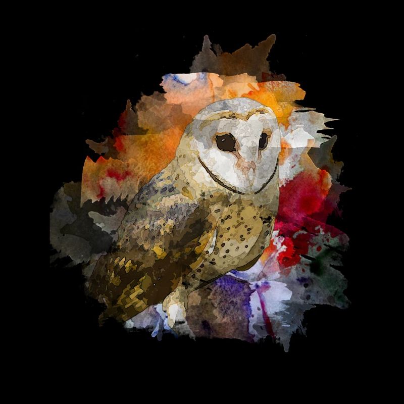 owl