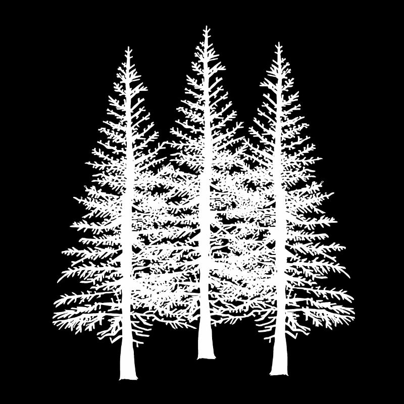 Forest tree trees nature conservation ecology environment