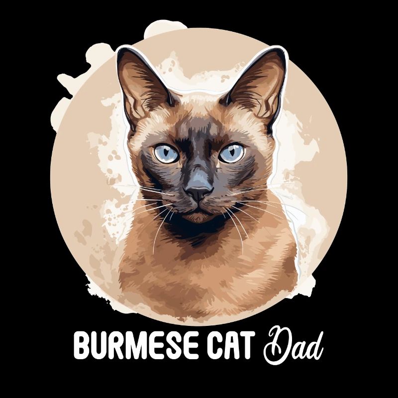 Chat birman Birmanie Katze