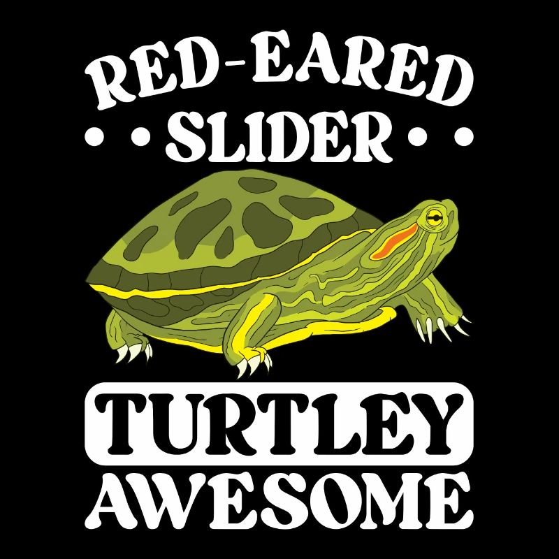 Turtle Red-eared Turtle