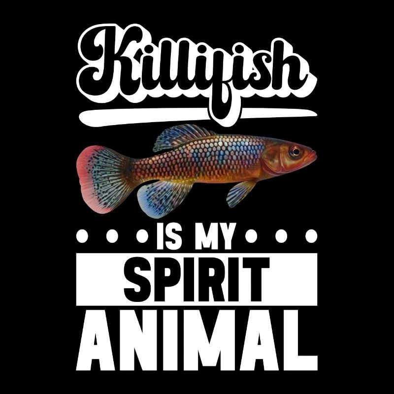 Killifish Quarium Fish