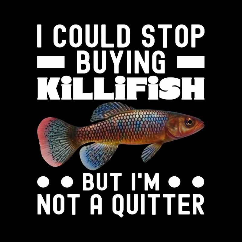 Killifish Quarium Fish
