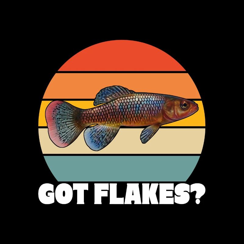 Killifish Quarium Fish