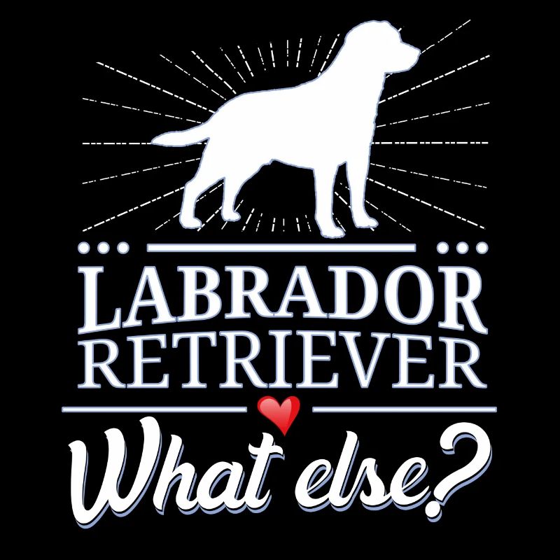 Labrador Retriever what else?