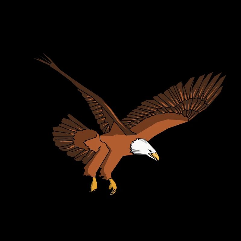 Eagle Eagle Bald Eagle