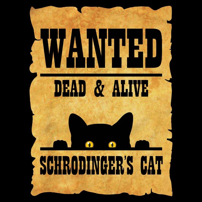 Le chat de Schrödinger