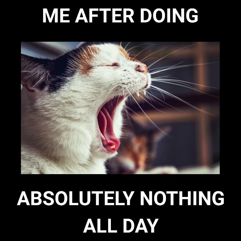ME AFTER DOING ABSOLUTELY NOTHING ALL DAY