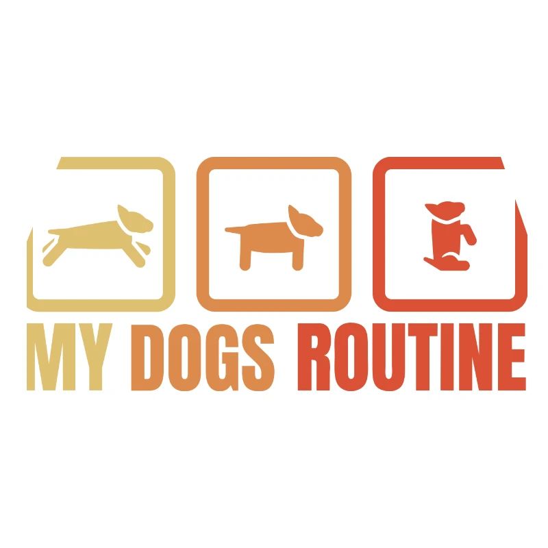 La routine de mon chien