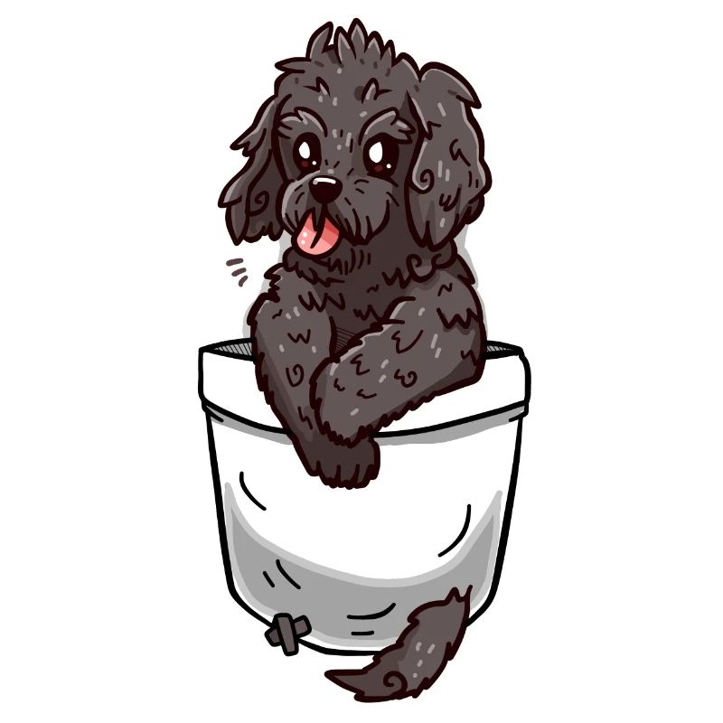 Poche Cockapoo